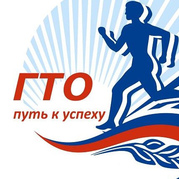 Областной физкультурно-спортивный фестиваль «Все на ГТО!»