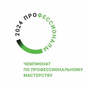 Профессионалы 2024
